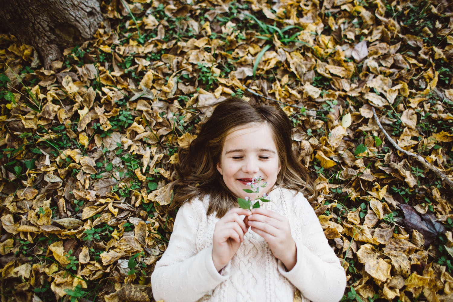 Fall Happiness | Houston Holiday Family Portraits | Lisa Woods Photography