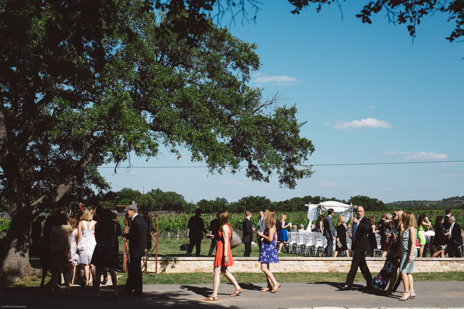 spicewood vineyards wedding-12.jpg