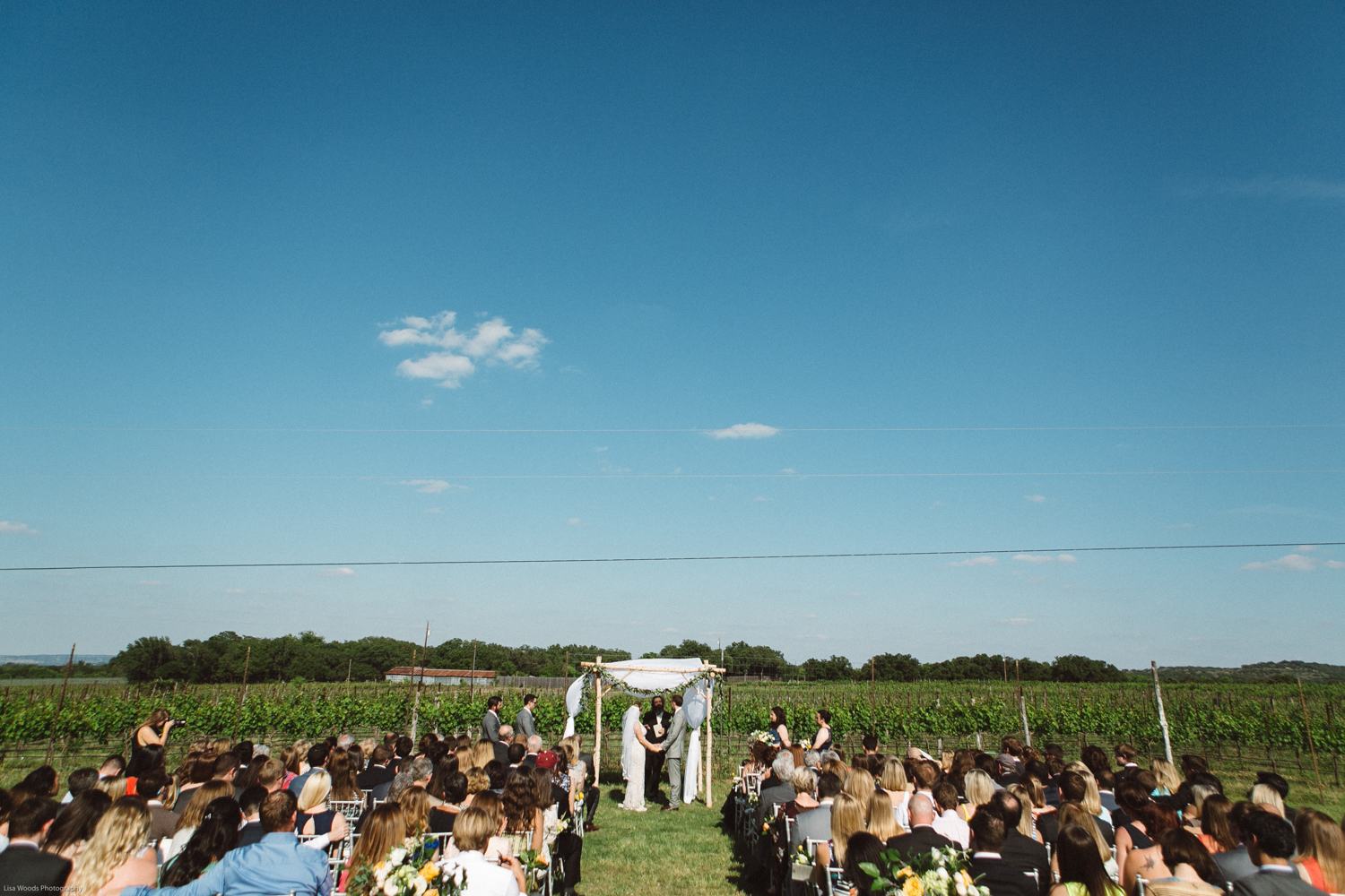 spicewood vineyards wedding-15.jpg