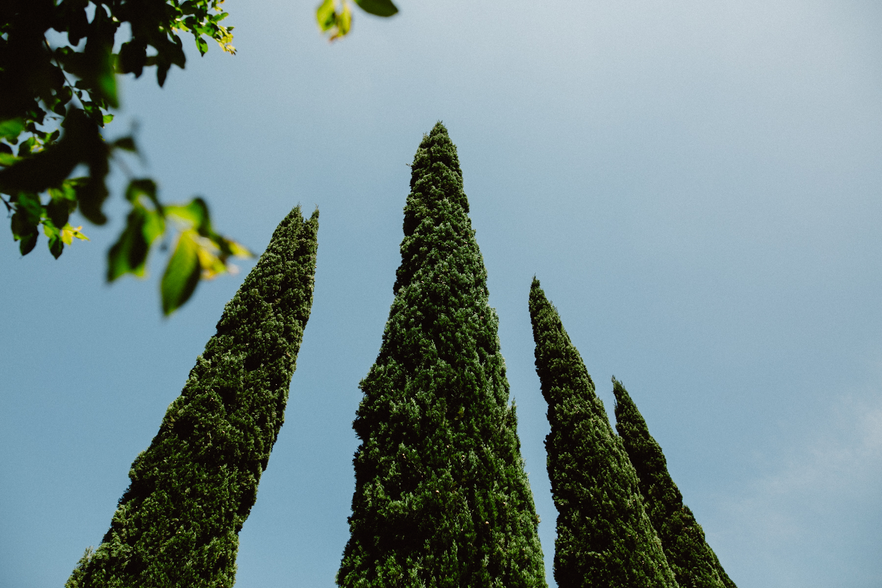 austin-home-wedding- R+R-4.jpg