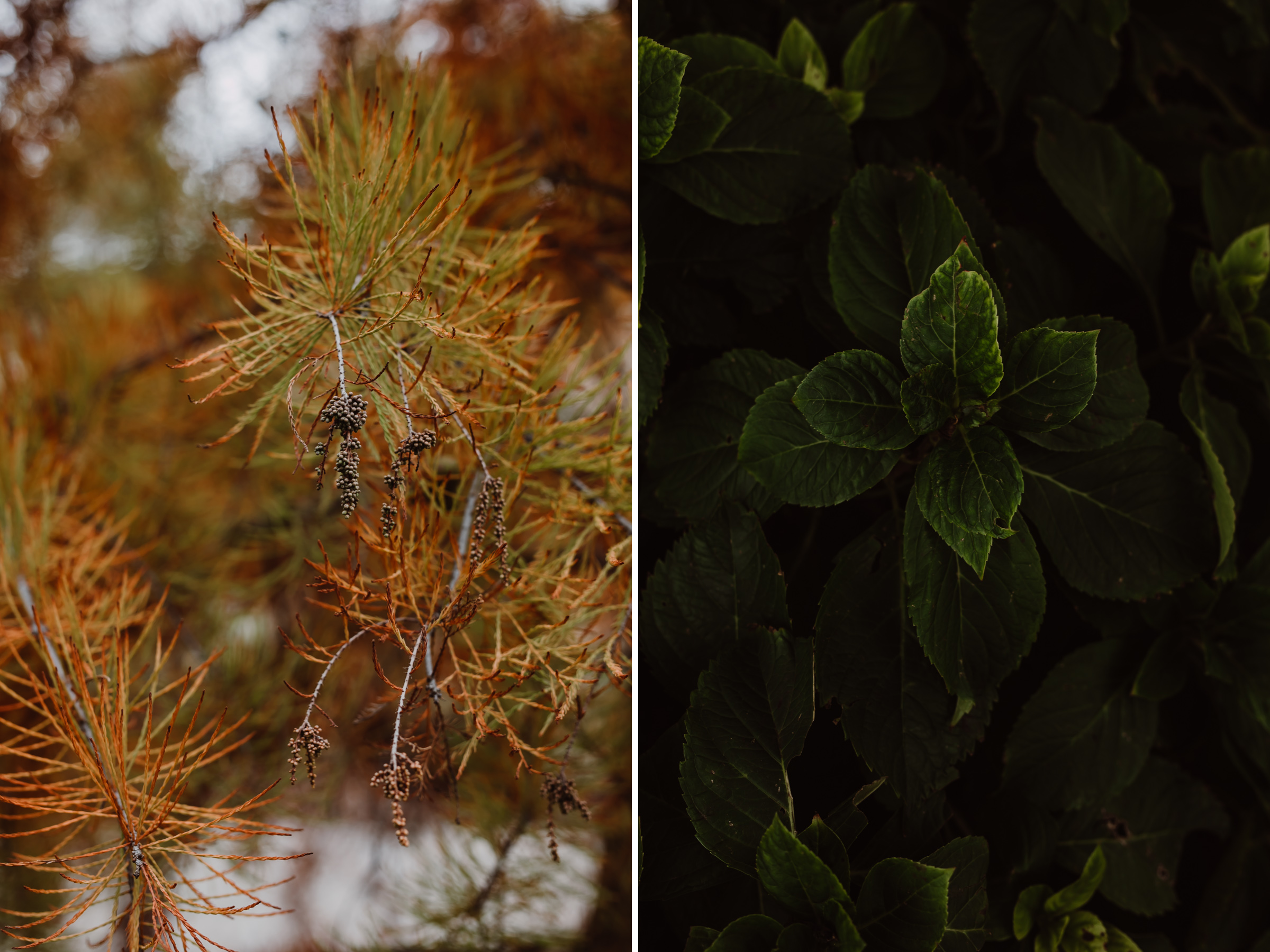 ftworth-botanical-garden-1.jpg