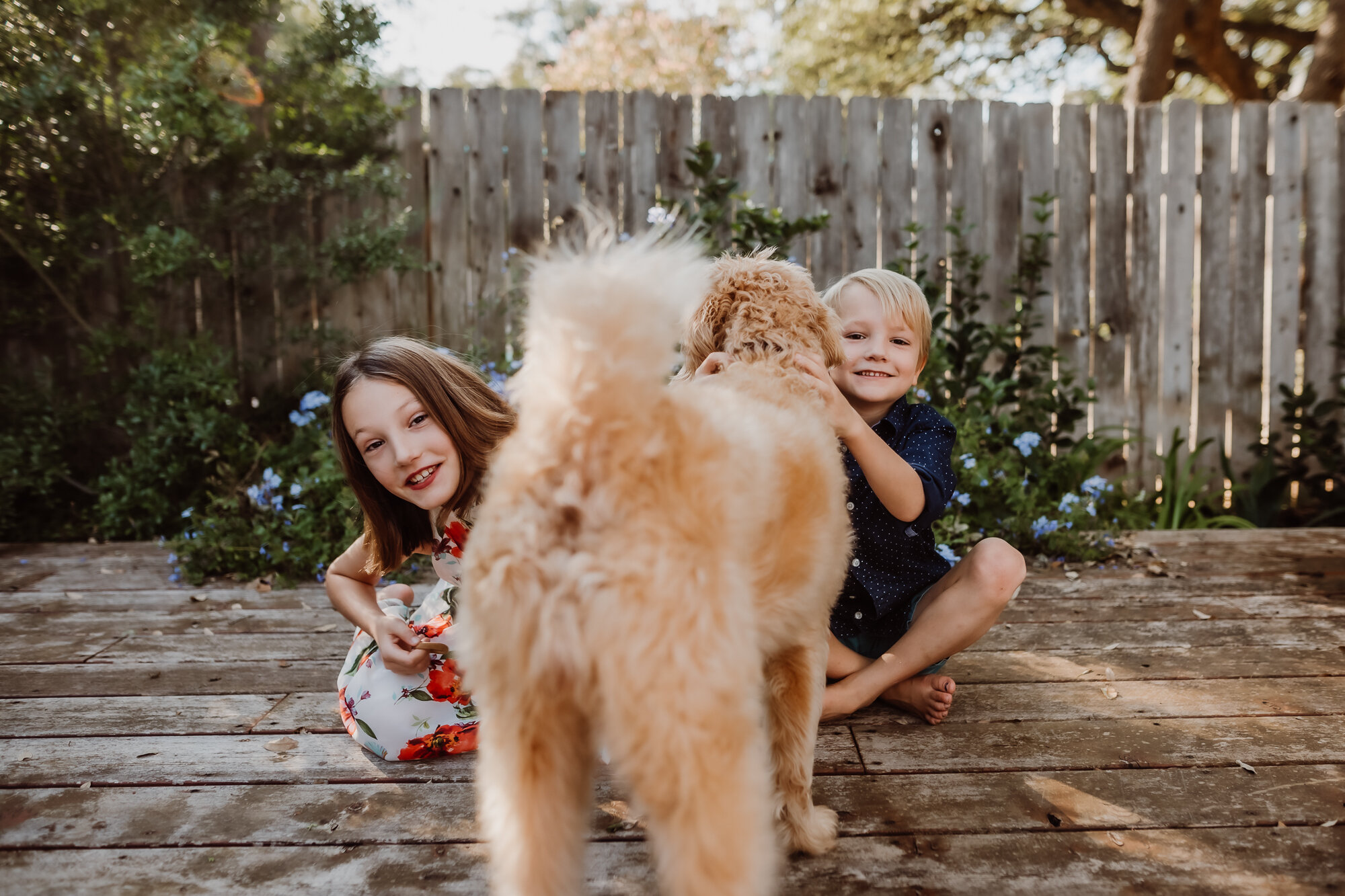 dog family photo session austin