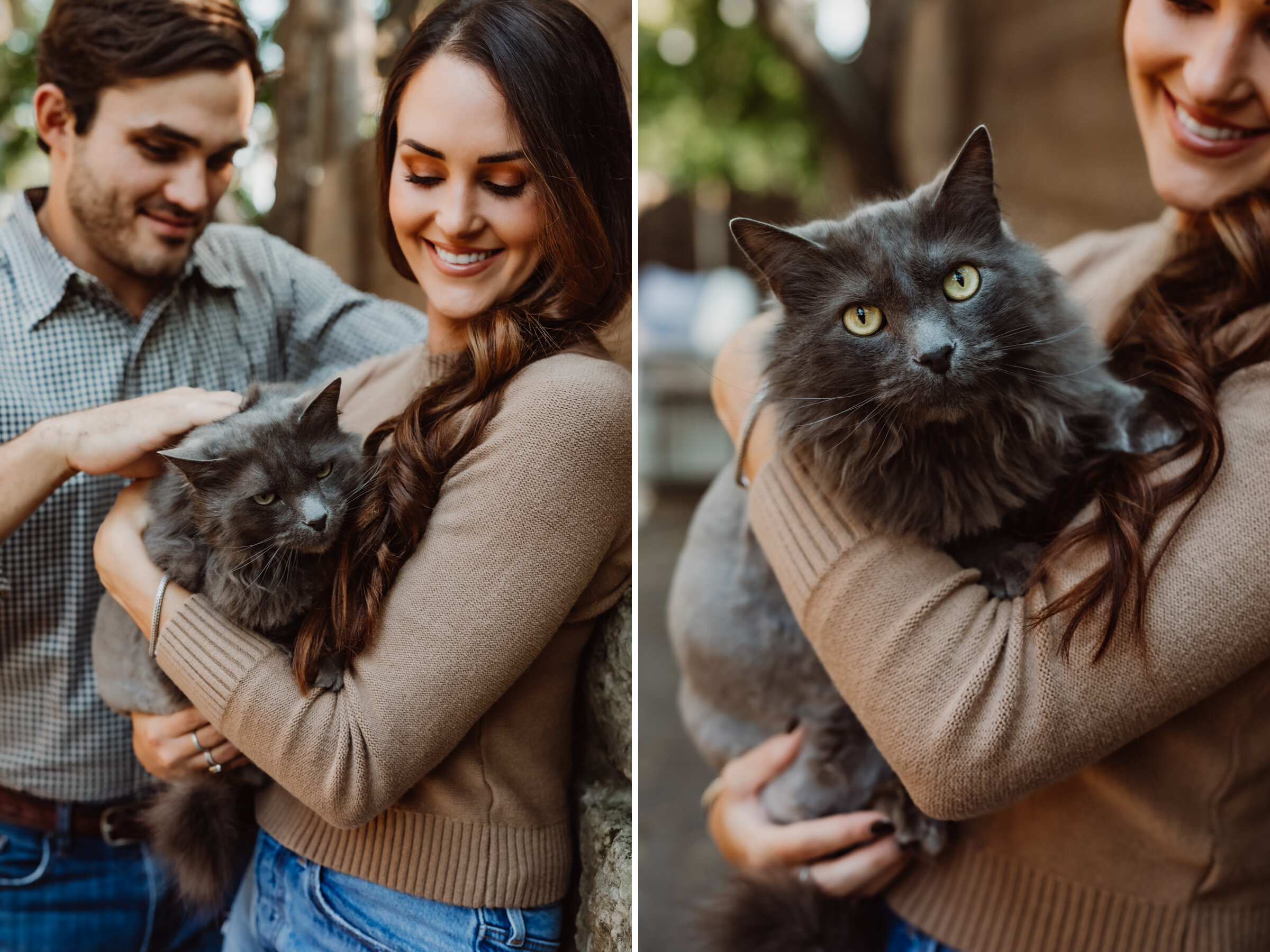 cat family photo session