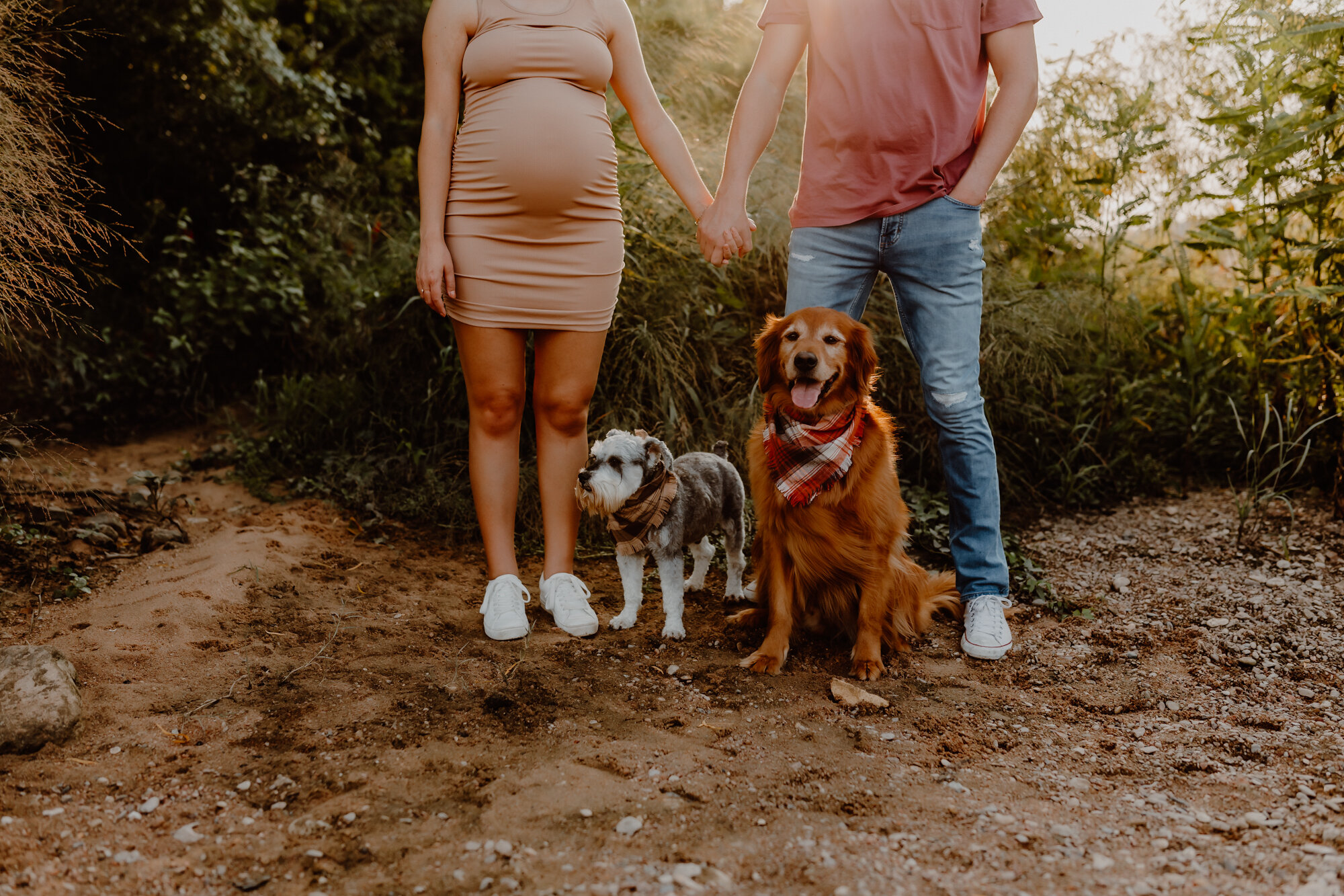 pregnant woman with her dogs