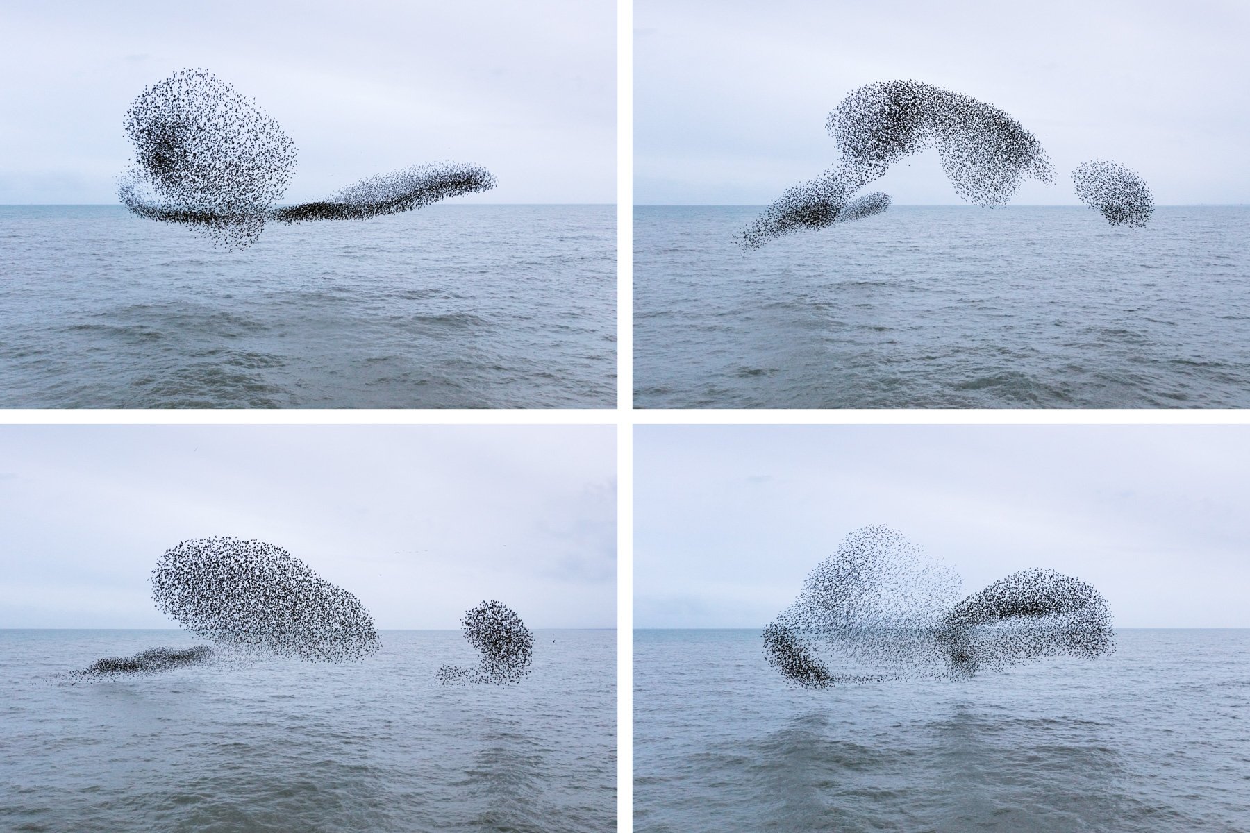 Logograms | By Finn Hopson