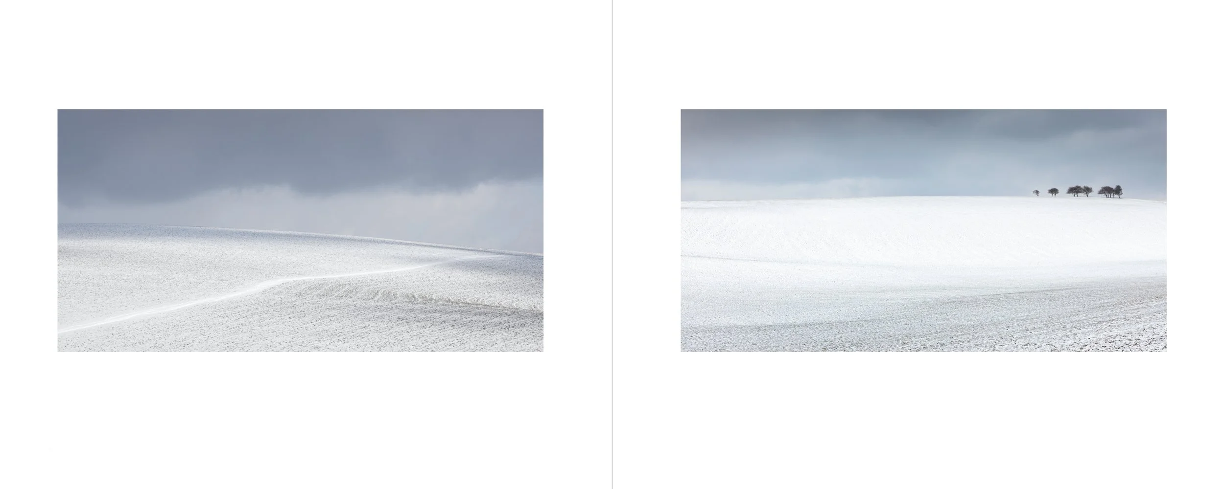 BOOK PAGES DOUBLES-4.jpg