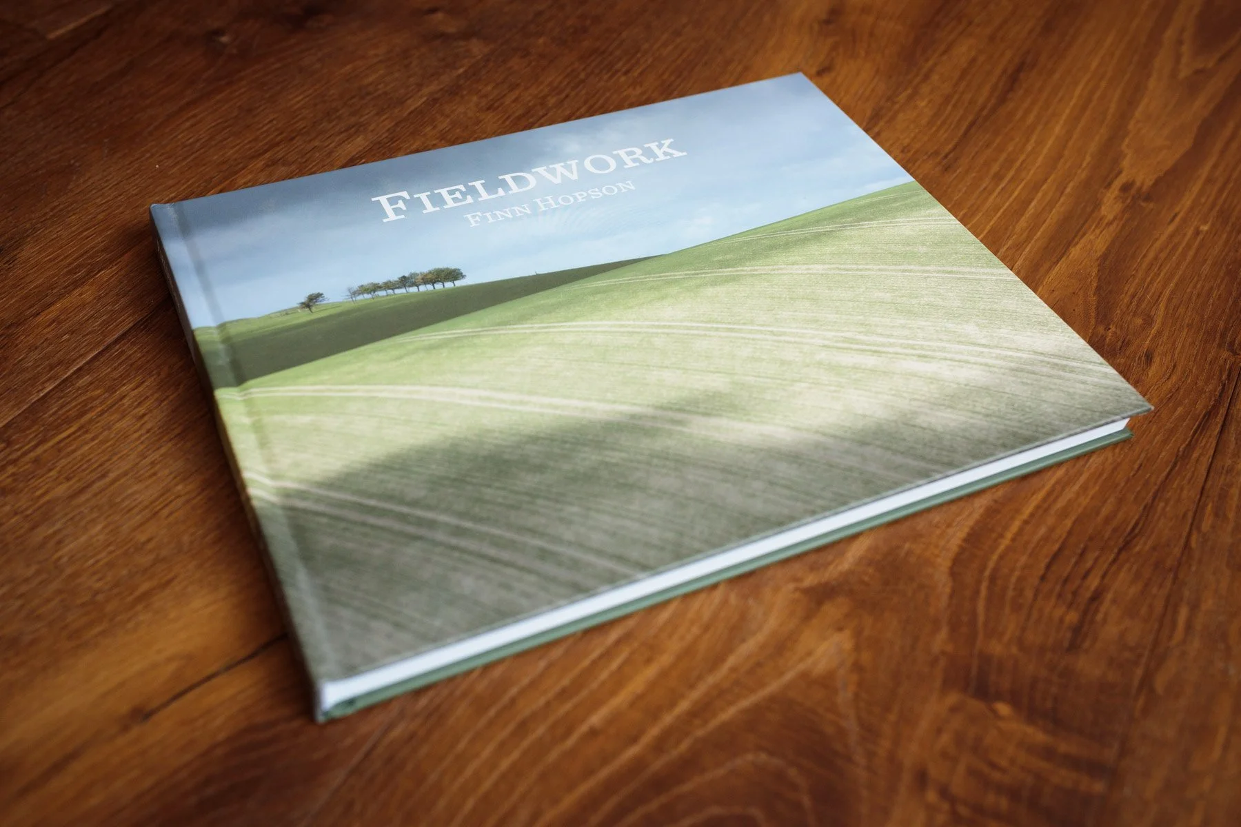 FieldworkBook 02.jpg