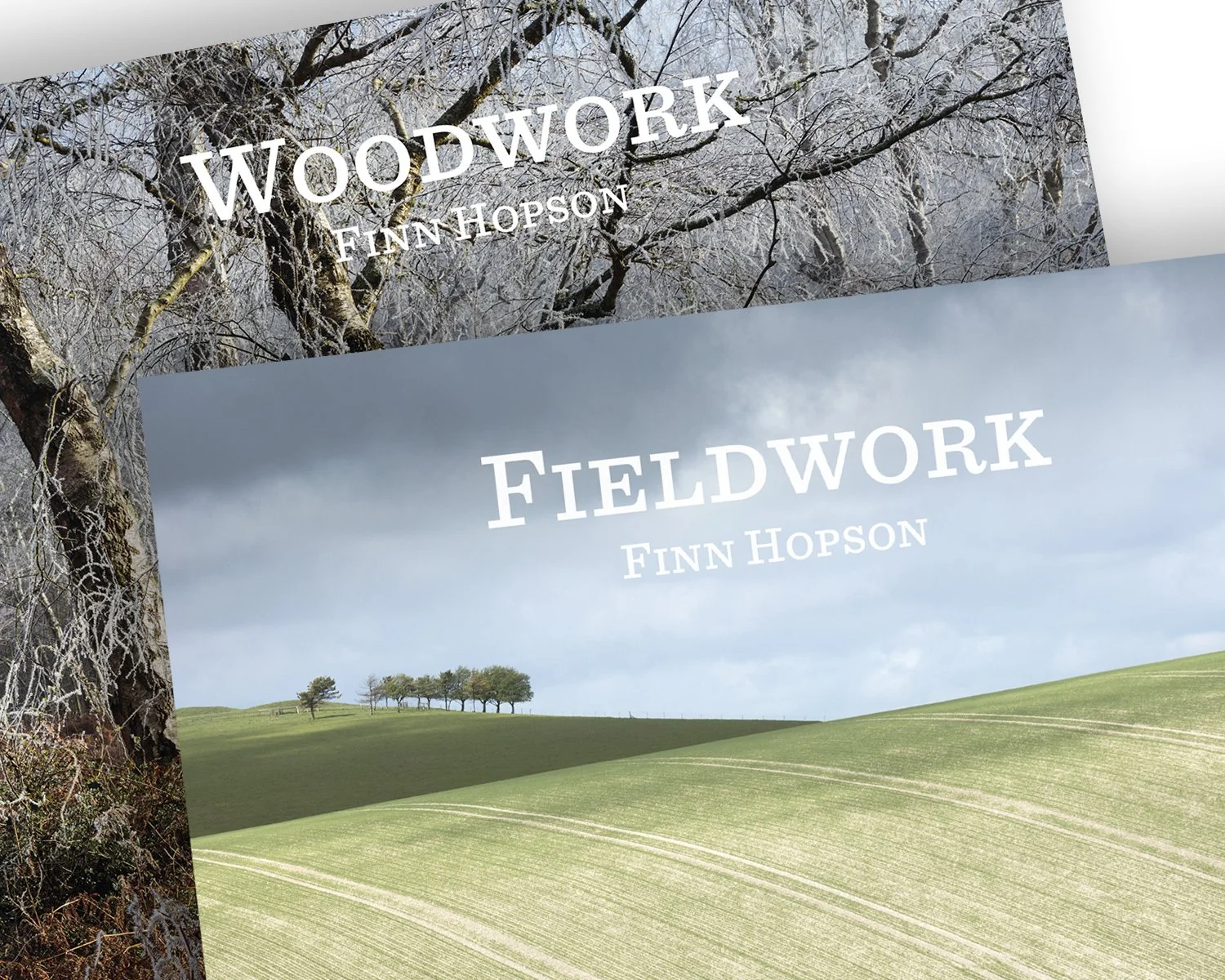 Woodwork-Fieldwork combo.jpg