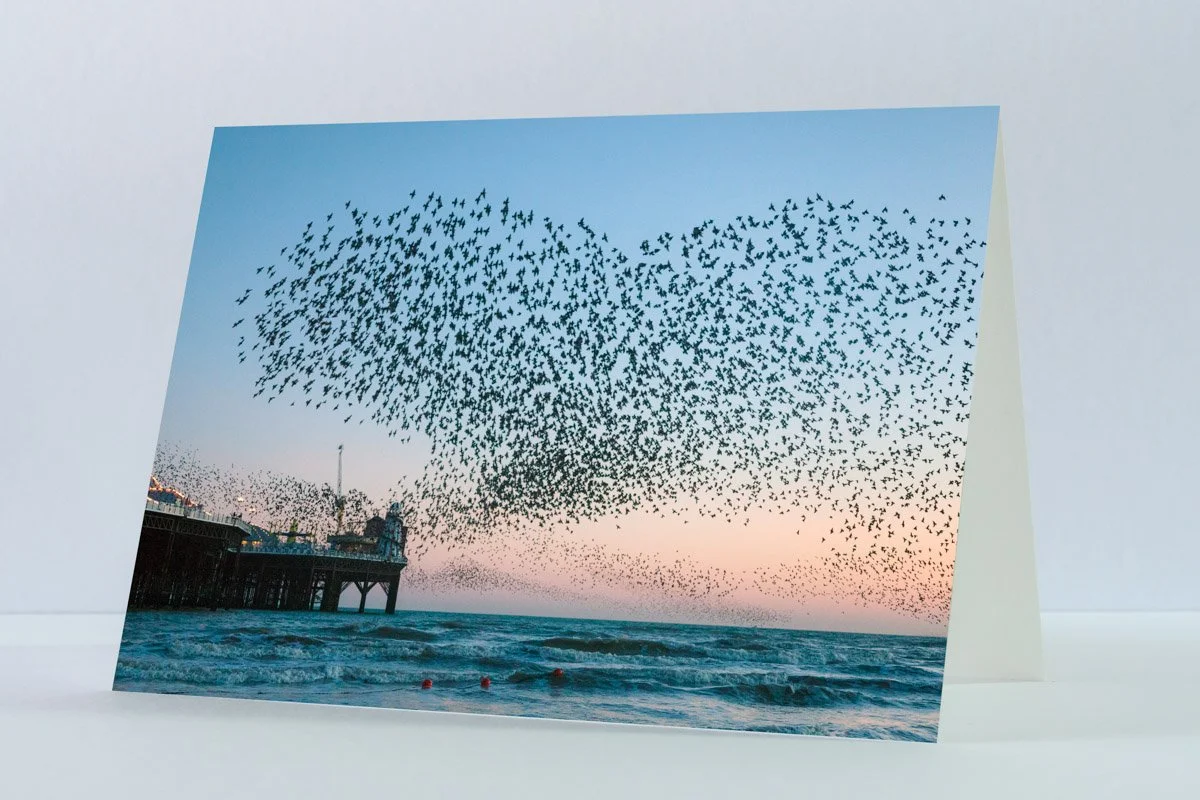 Heart Shaped Flocks - Greeting Card