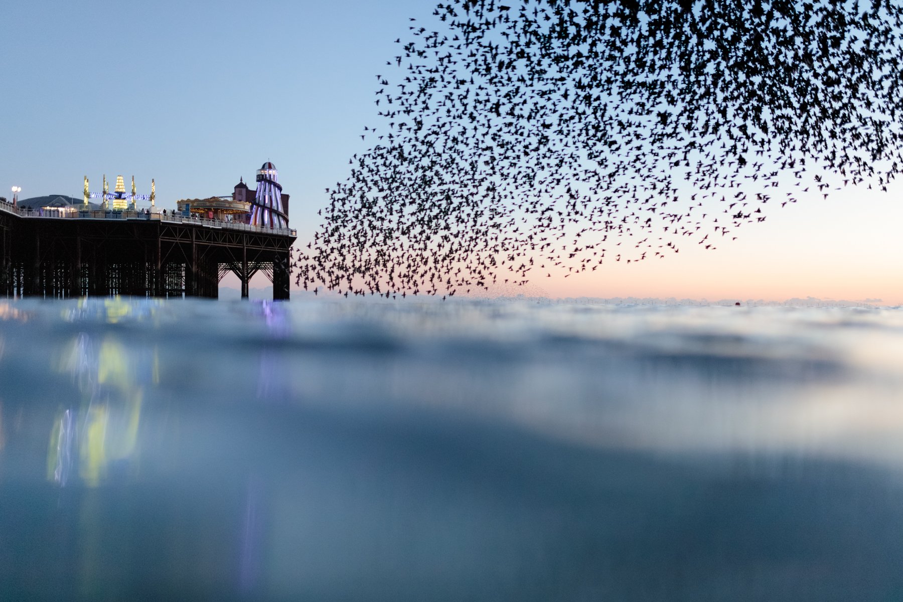 Lights Murmur Action.jpg