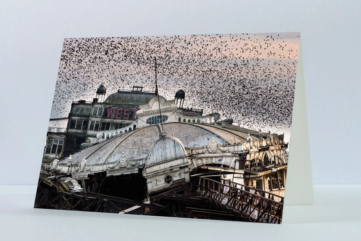 Only For The Birds - Greeting Card