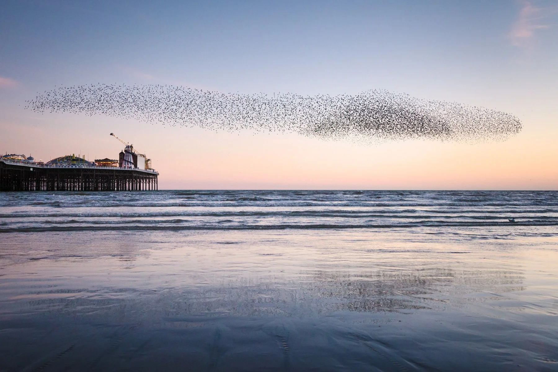 Gentle Murmur | By Finn Hopson