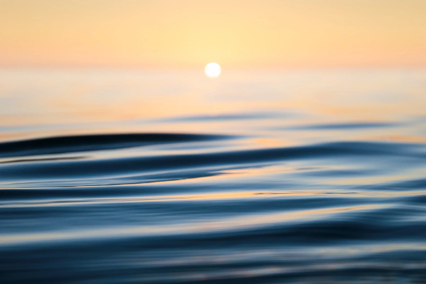 Solar Power | By Finn Hopson