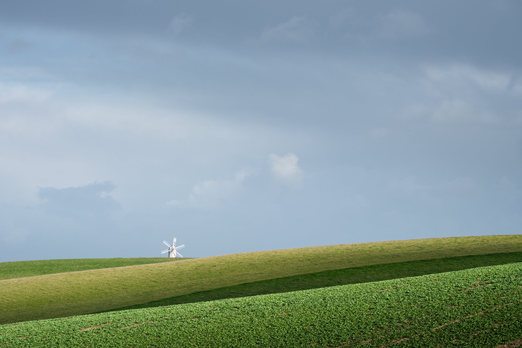 Quixotic.jpg