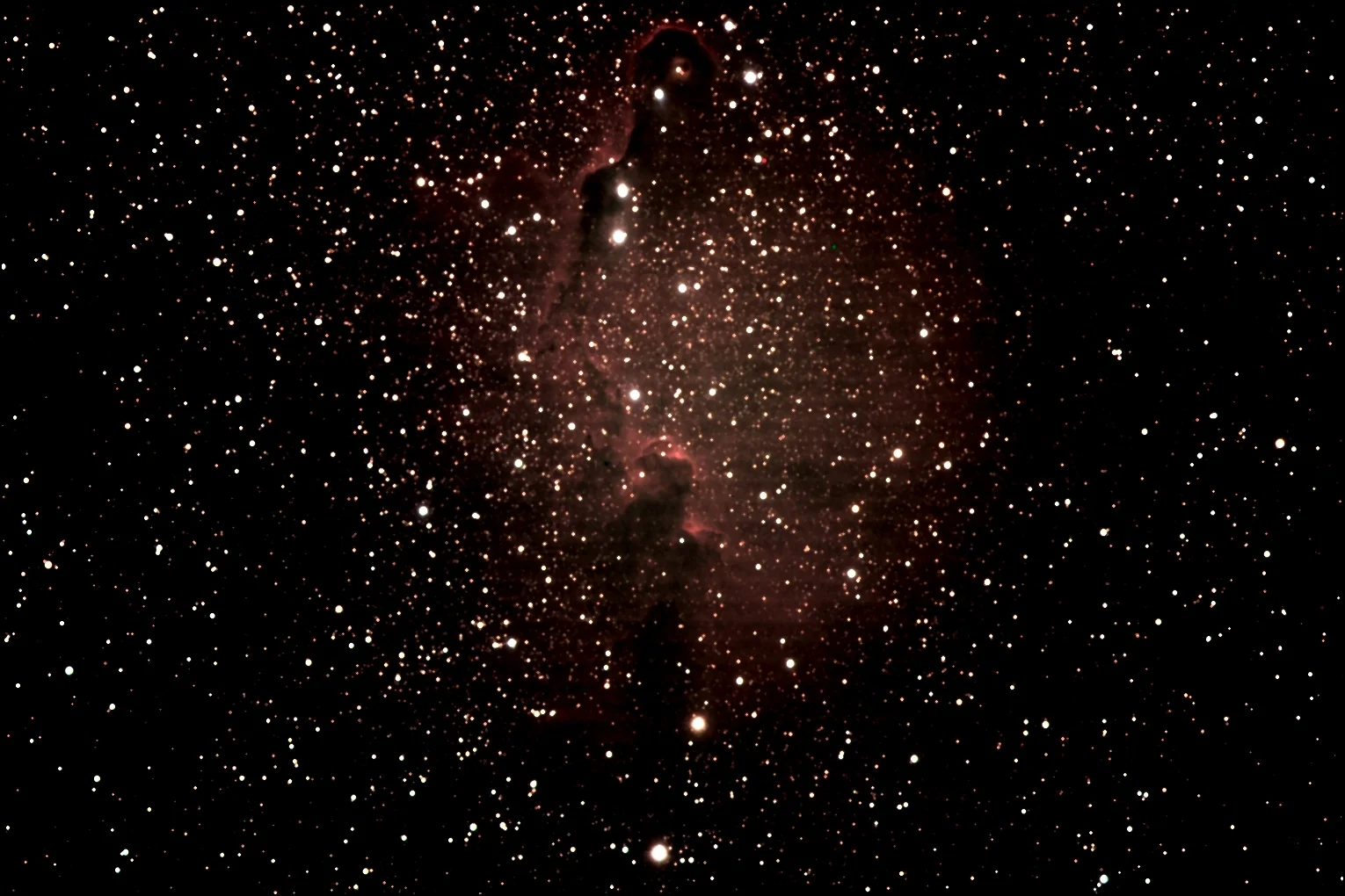 Elephant Trunk IC 1396
