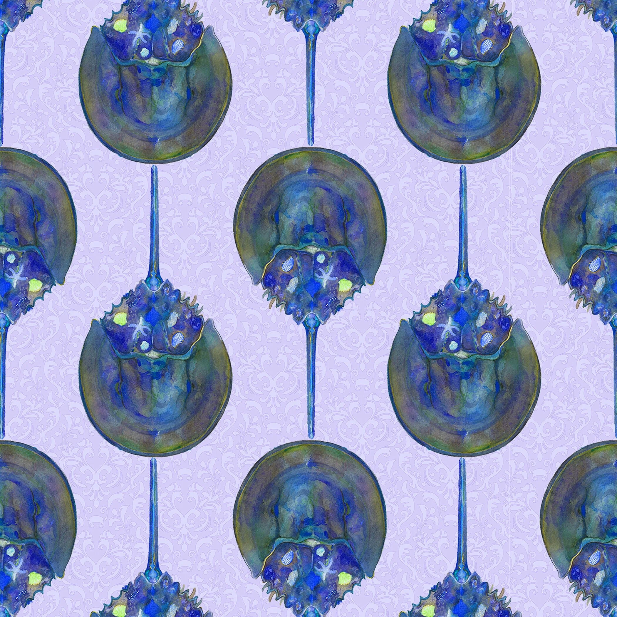 Blue-Horseshoe-Crabs.jpg
