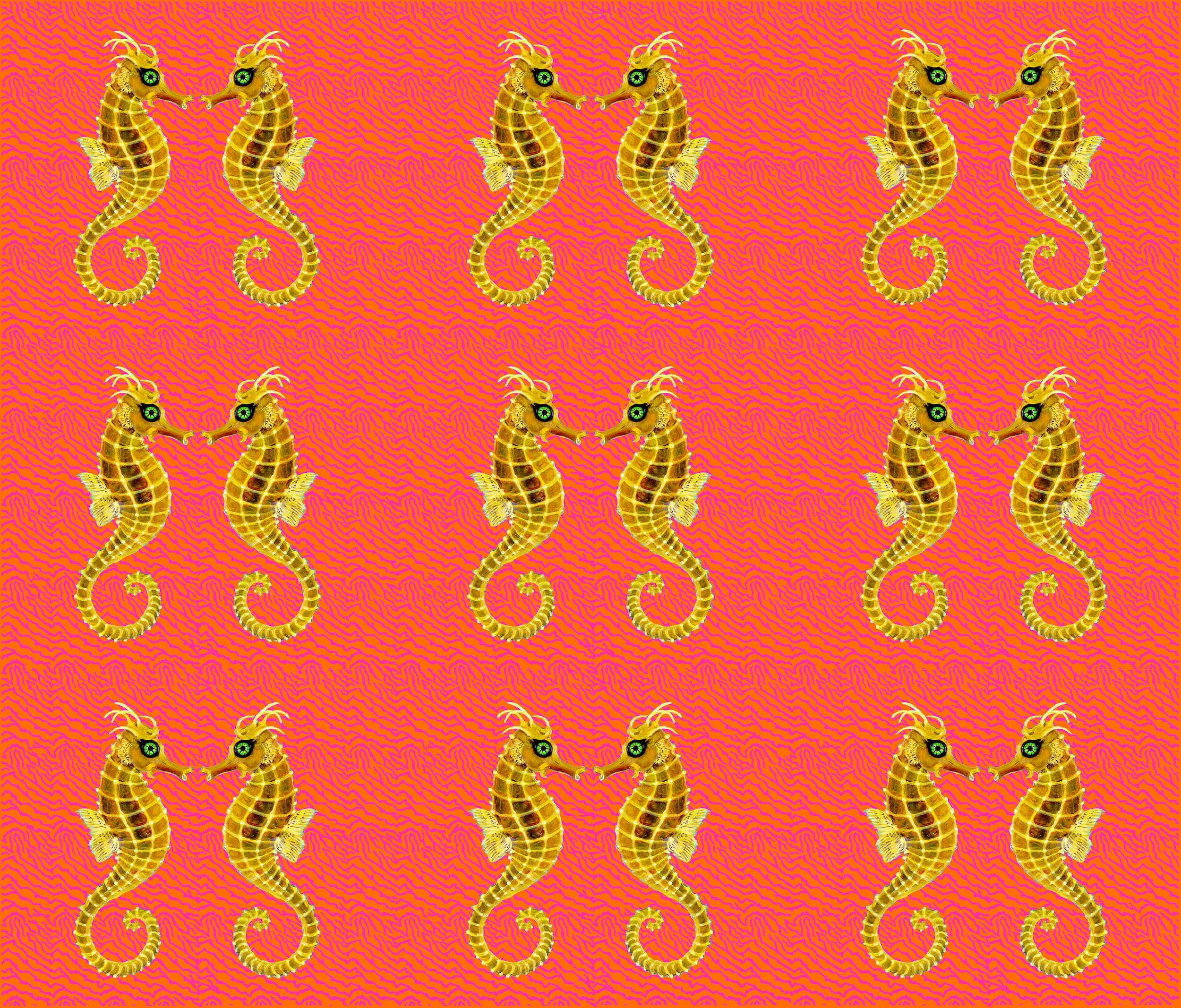 Seahorse Zebra Revised 11-5.jpg