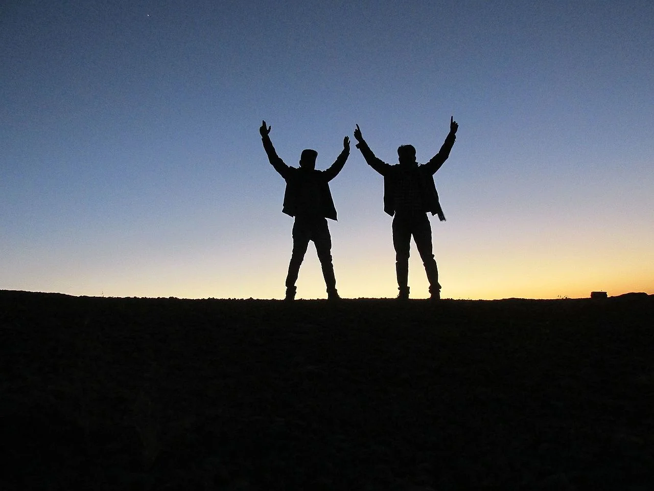 Two_friends_adventure.jpg