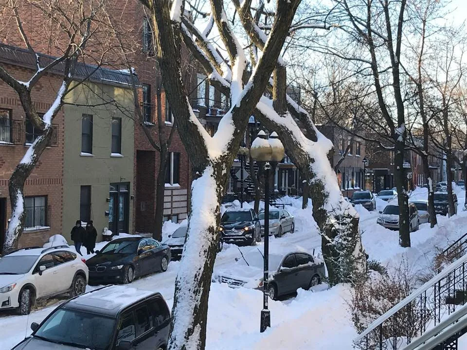 winteroverdana.jpg