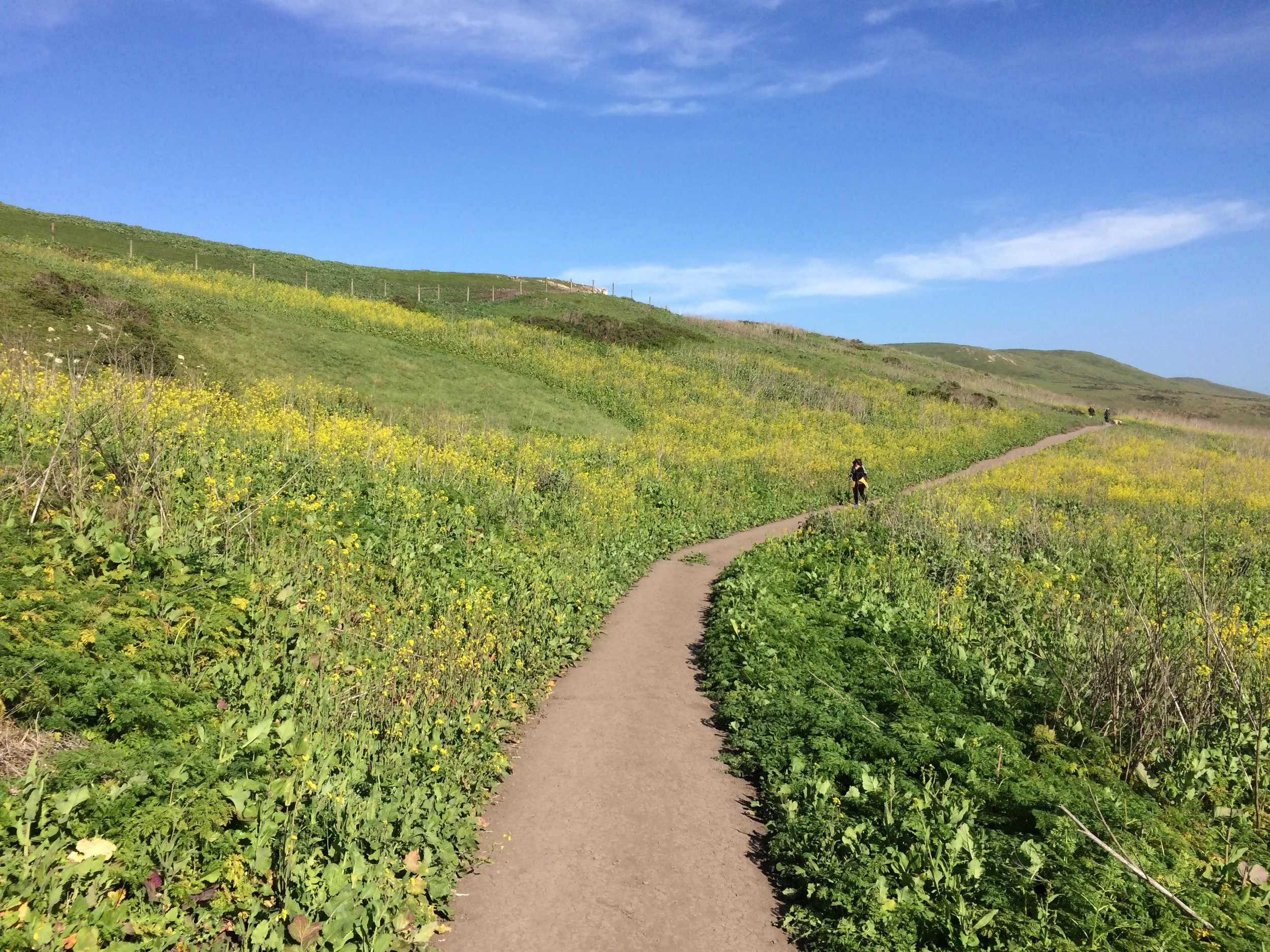 Path.jpg