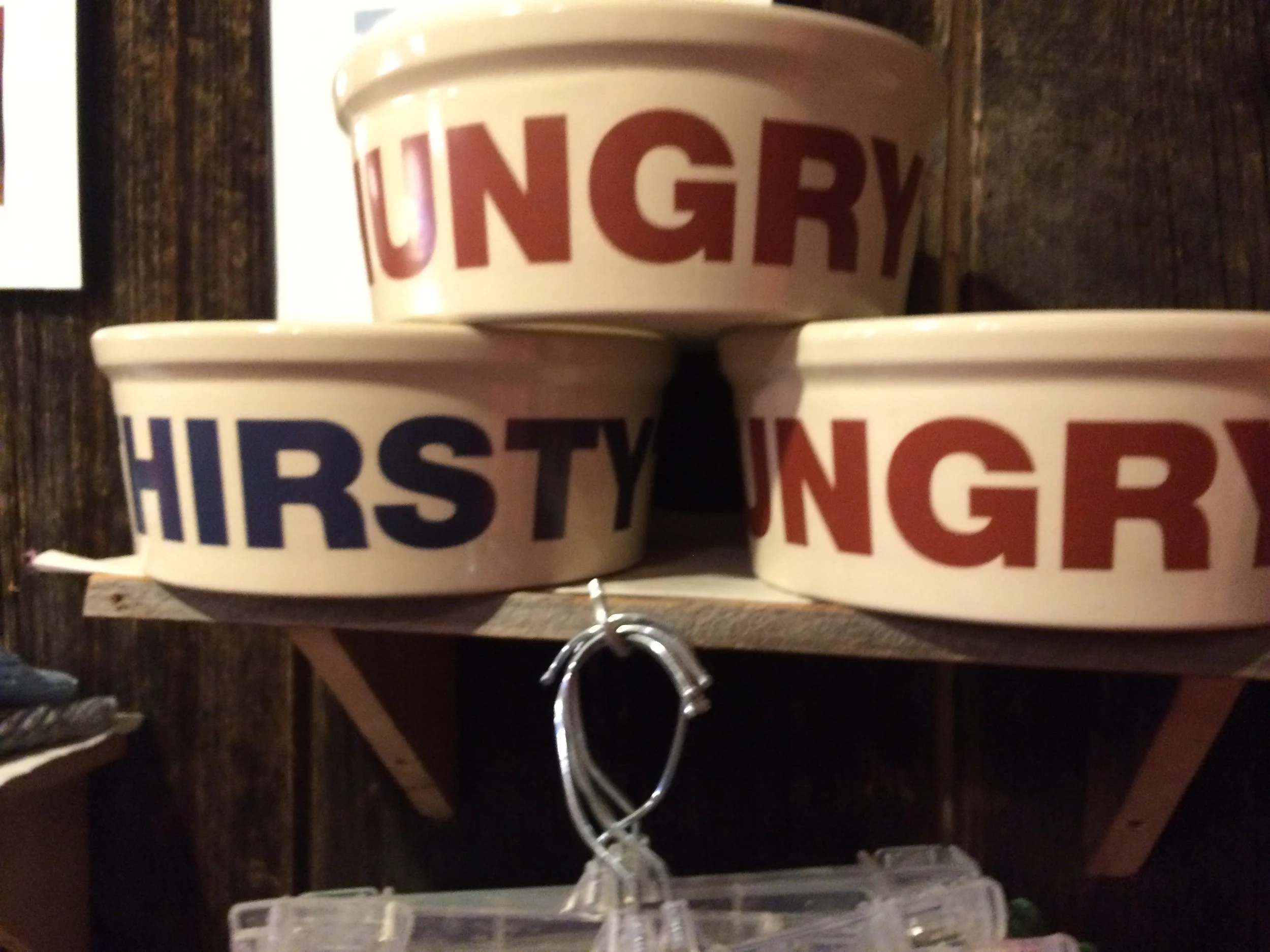 Hungry.jpg