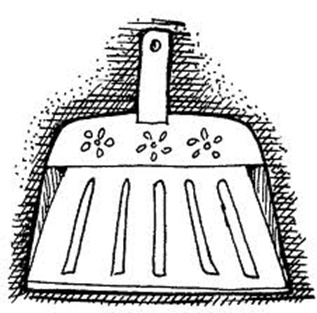 broom.png