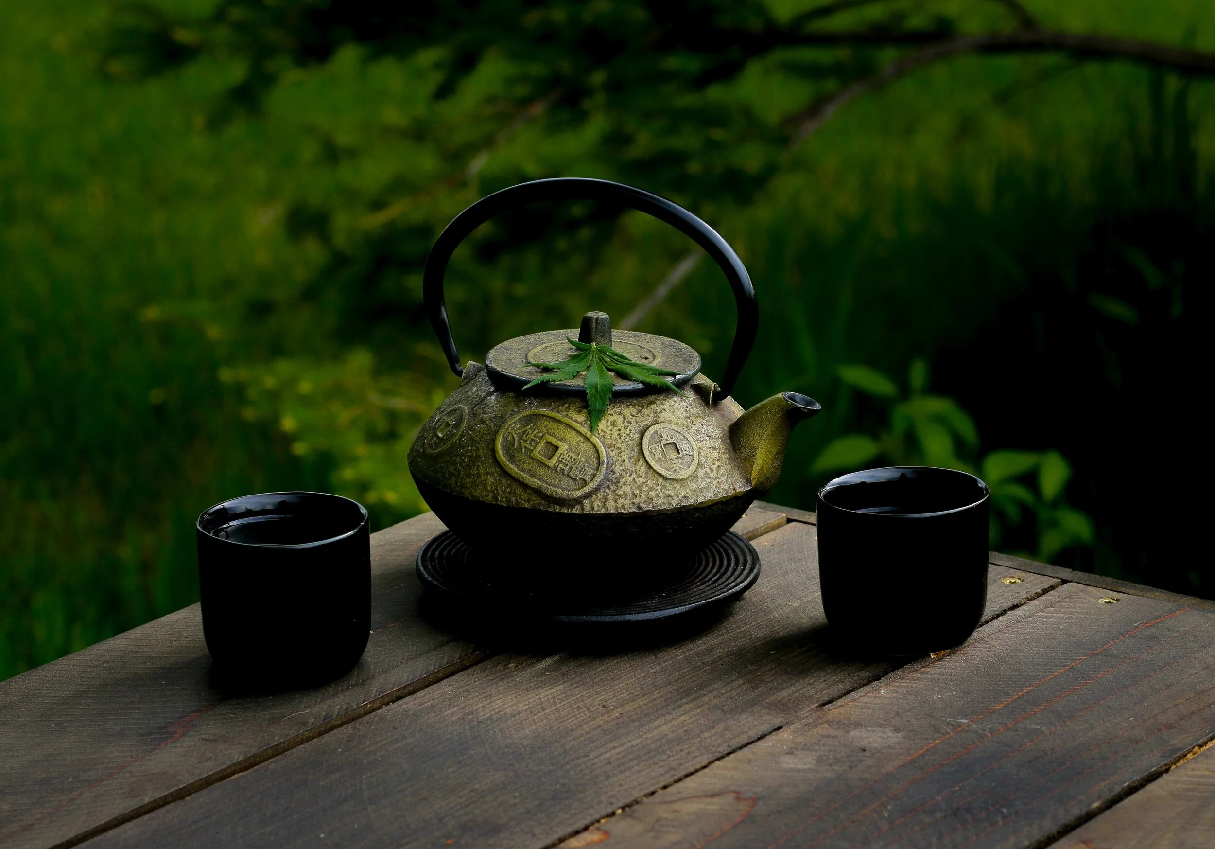 Photo by Kimzy Nanney on Unsplash