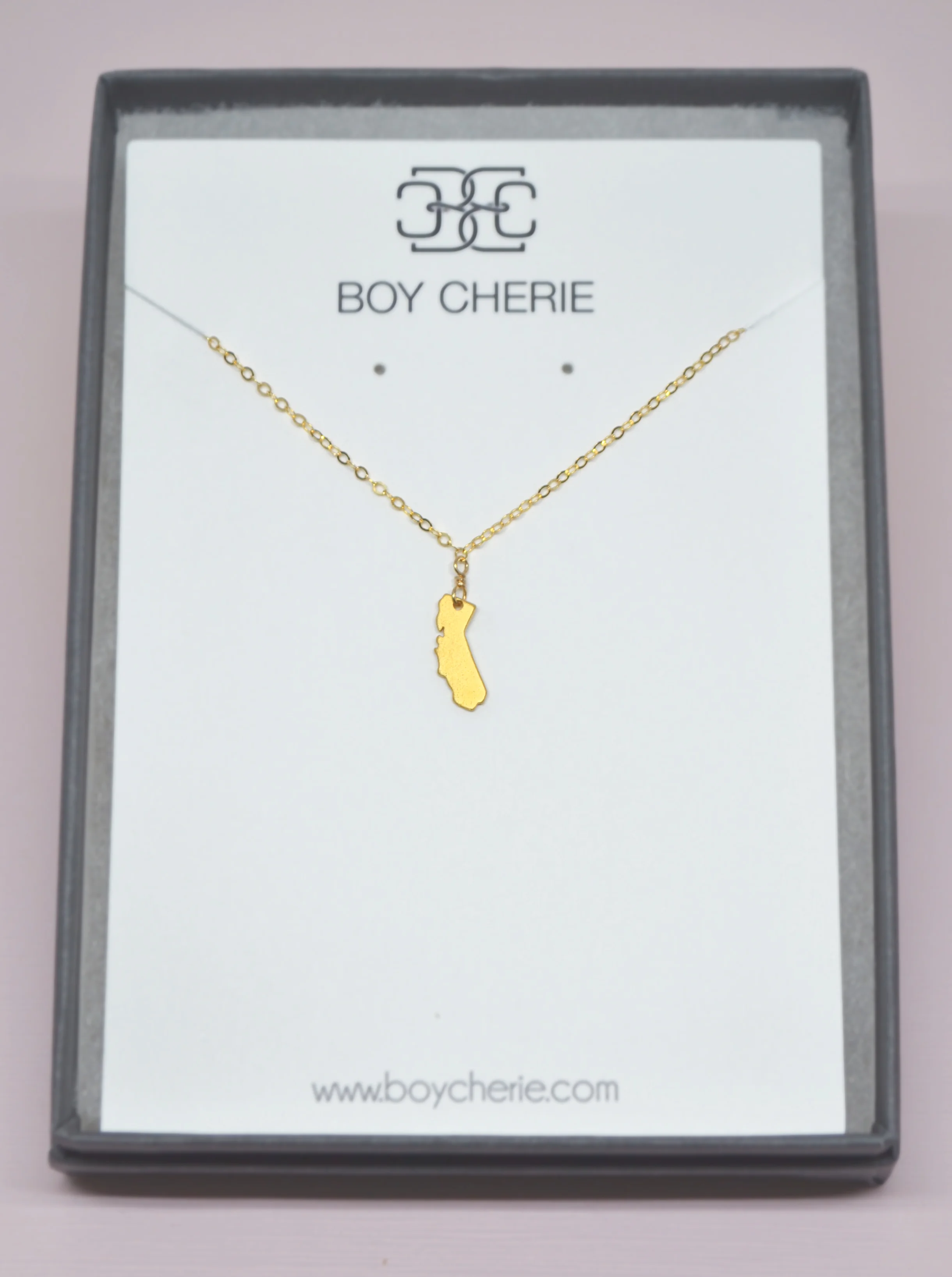 Gold Filled California State Charm Necklace.png