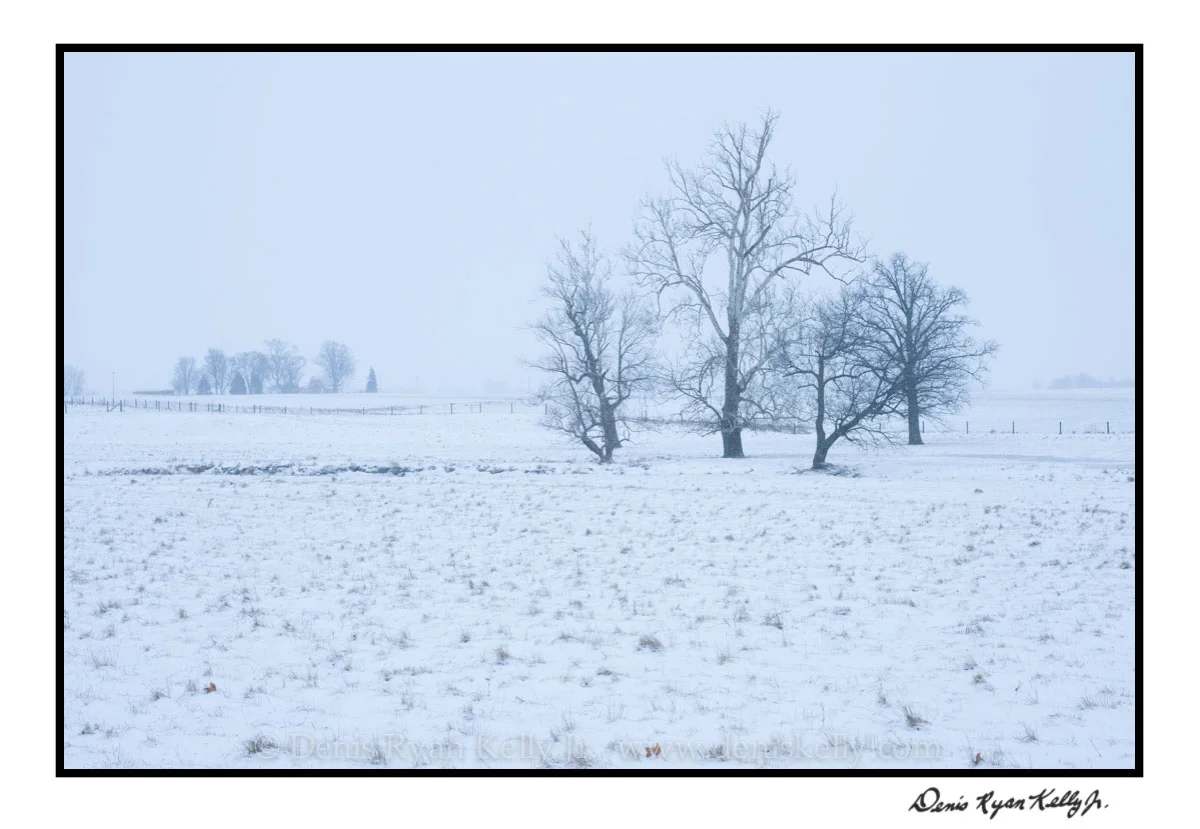 The Winter of 2014