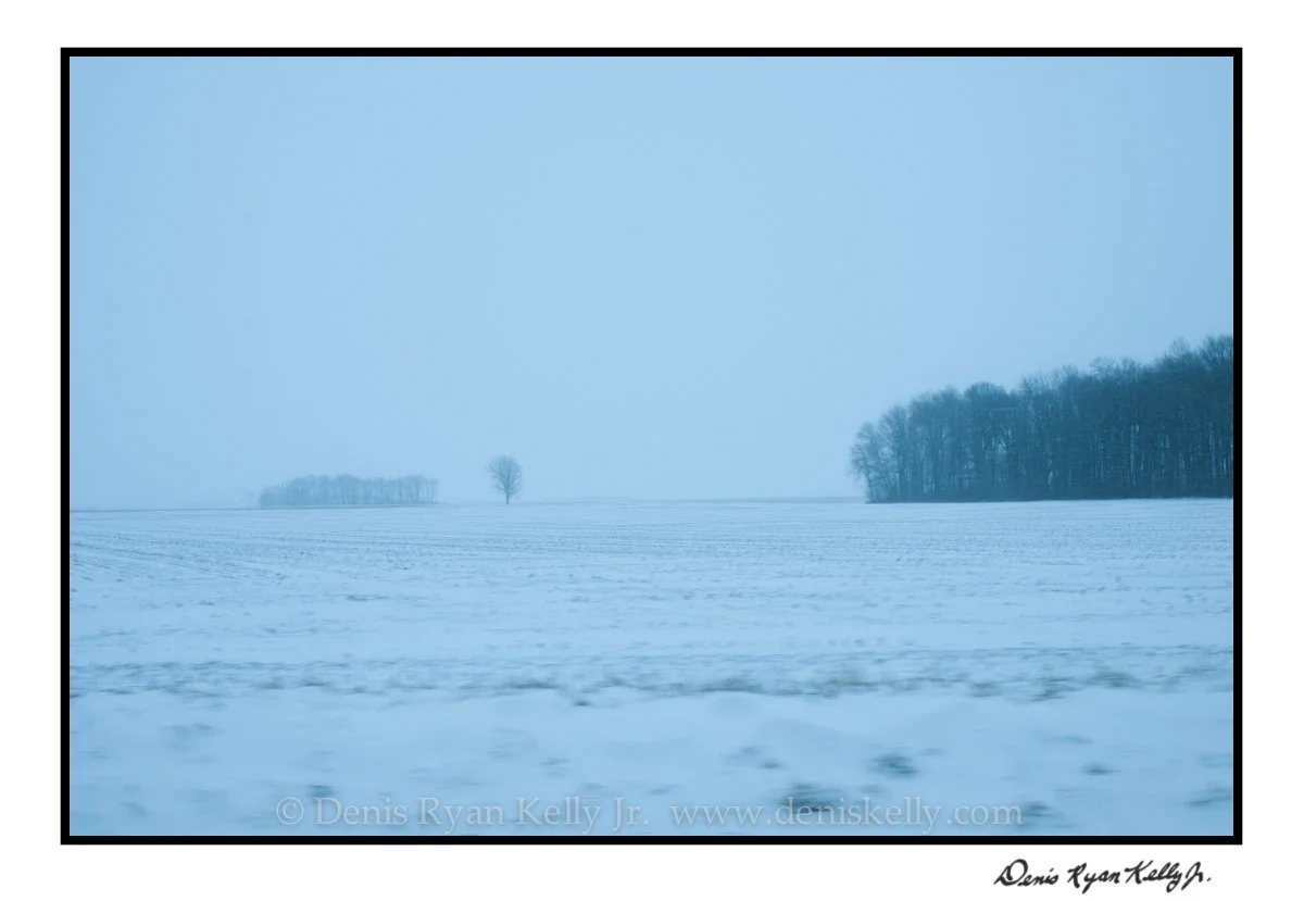 Winter Majesty Indiana_03.jpg