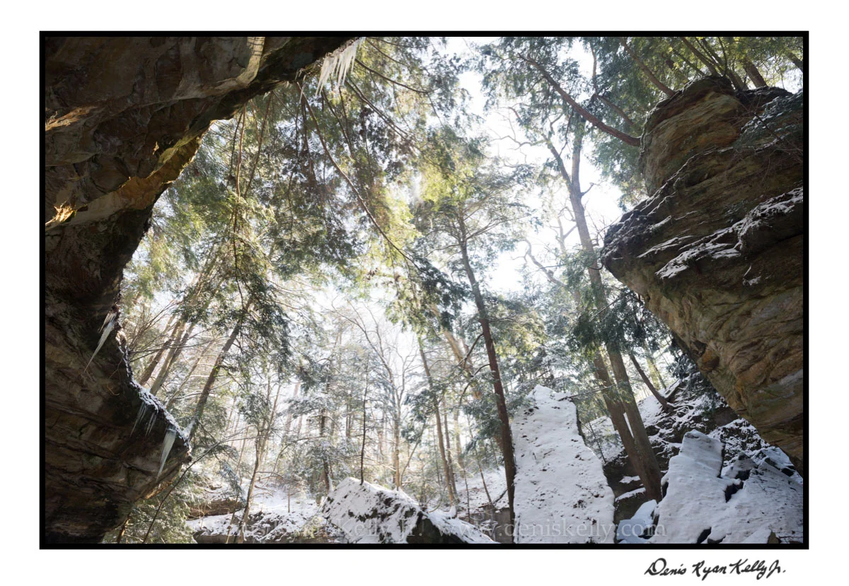 Winter Majesty Indiana_10.jpg