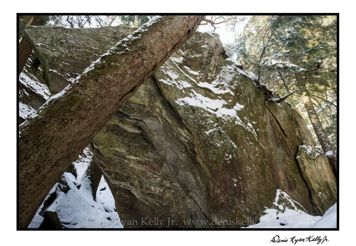 Winter Majesty Indiana_11.jpg