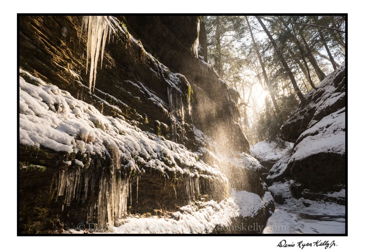 Winter Majesty Indiana_12.jpg