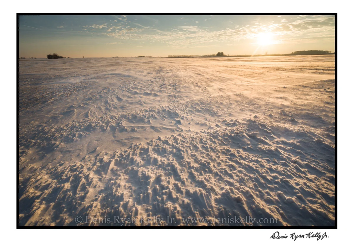 Winter Majesty Indiana_13.jpg