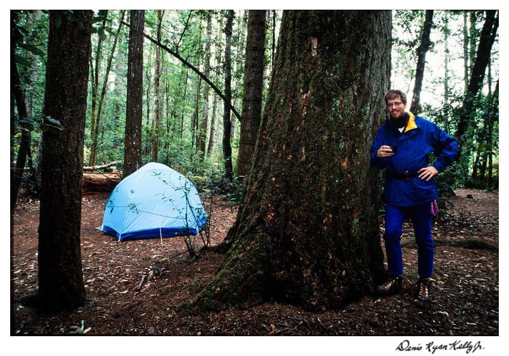 Redwoods with Mary Ann-1.jpg