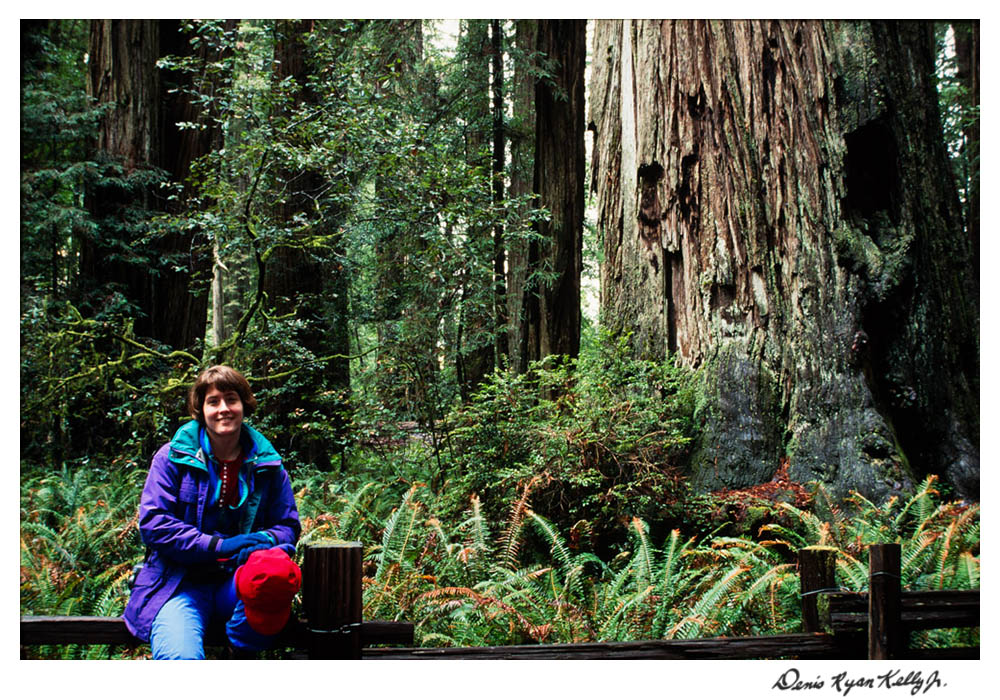 Redwoods with Mary Ann-2.jpg