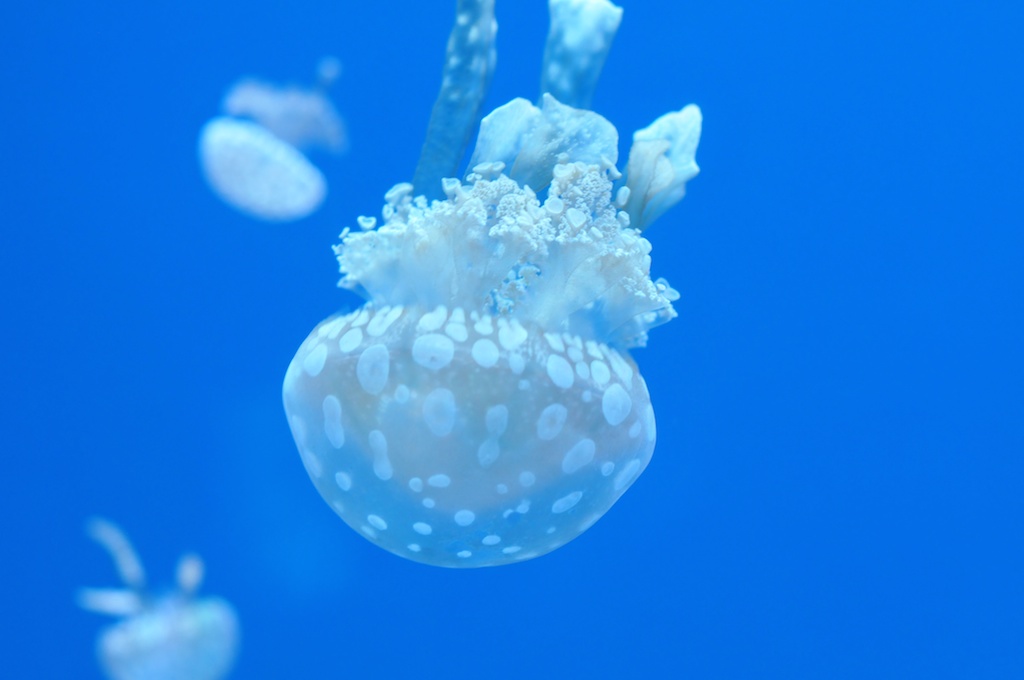 2014-04-20 at 13-57-19.jpg