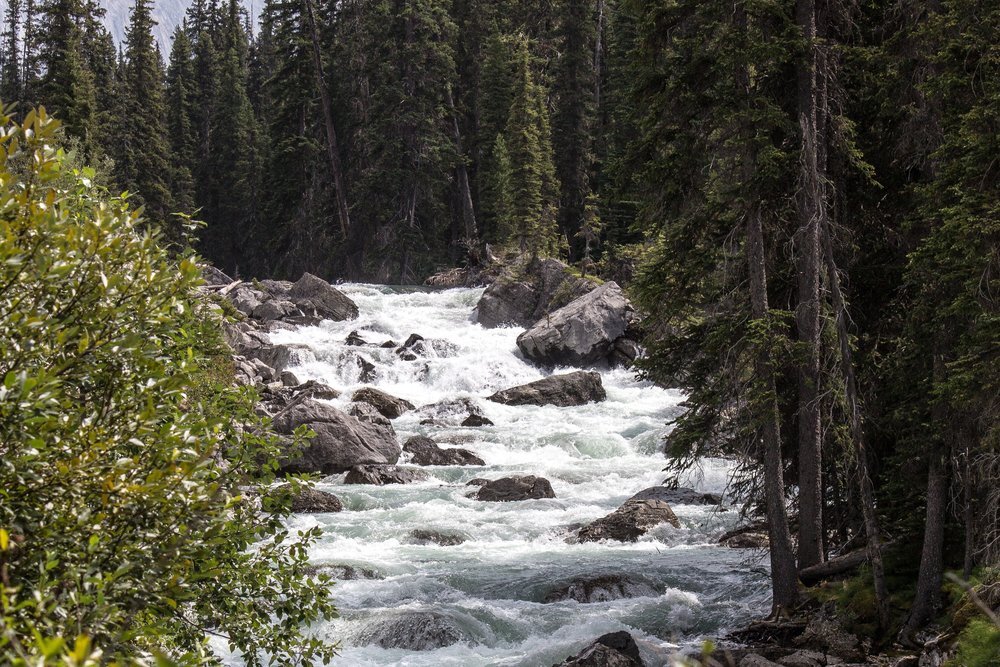 maligne-river-1485060.jpg