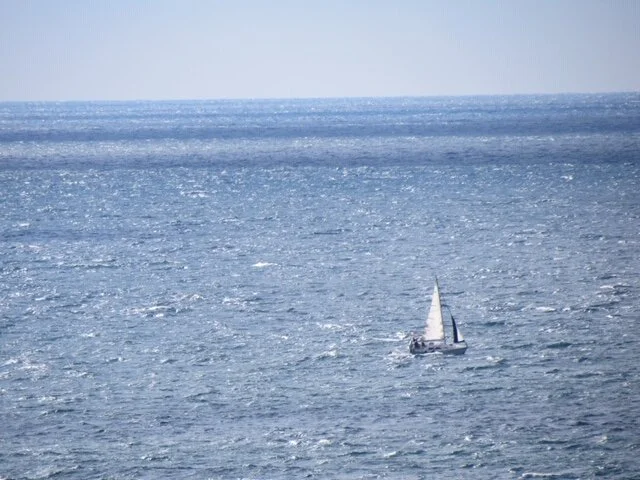 IMG_6379.JPG