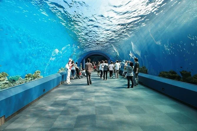 aquarium gatlinburg.jpg
