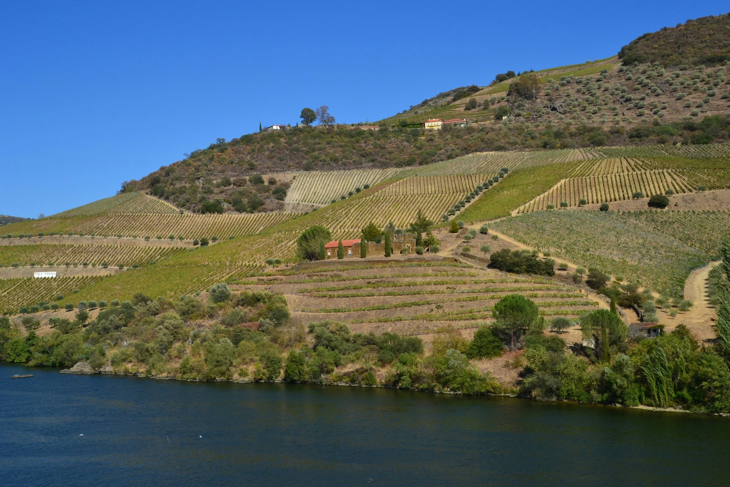 Douro-River-Valley2.jpg