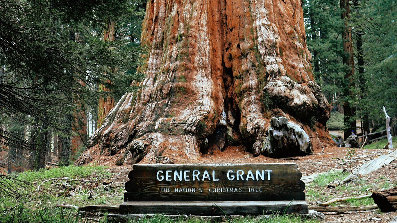 Image-SequoiaNatlPark.jpg