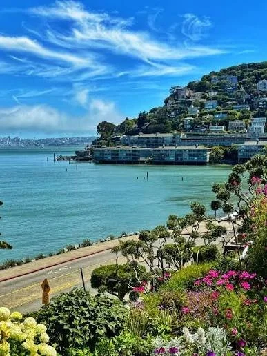sausalito.jpg