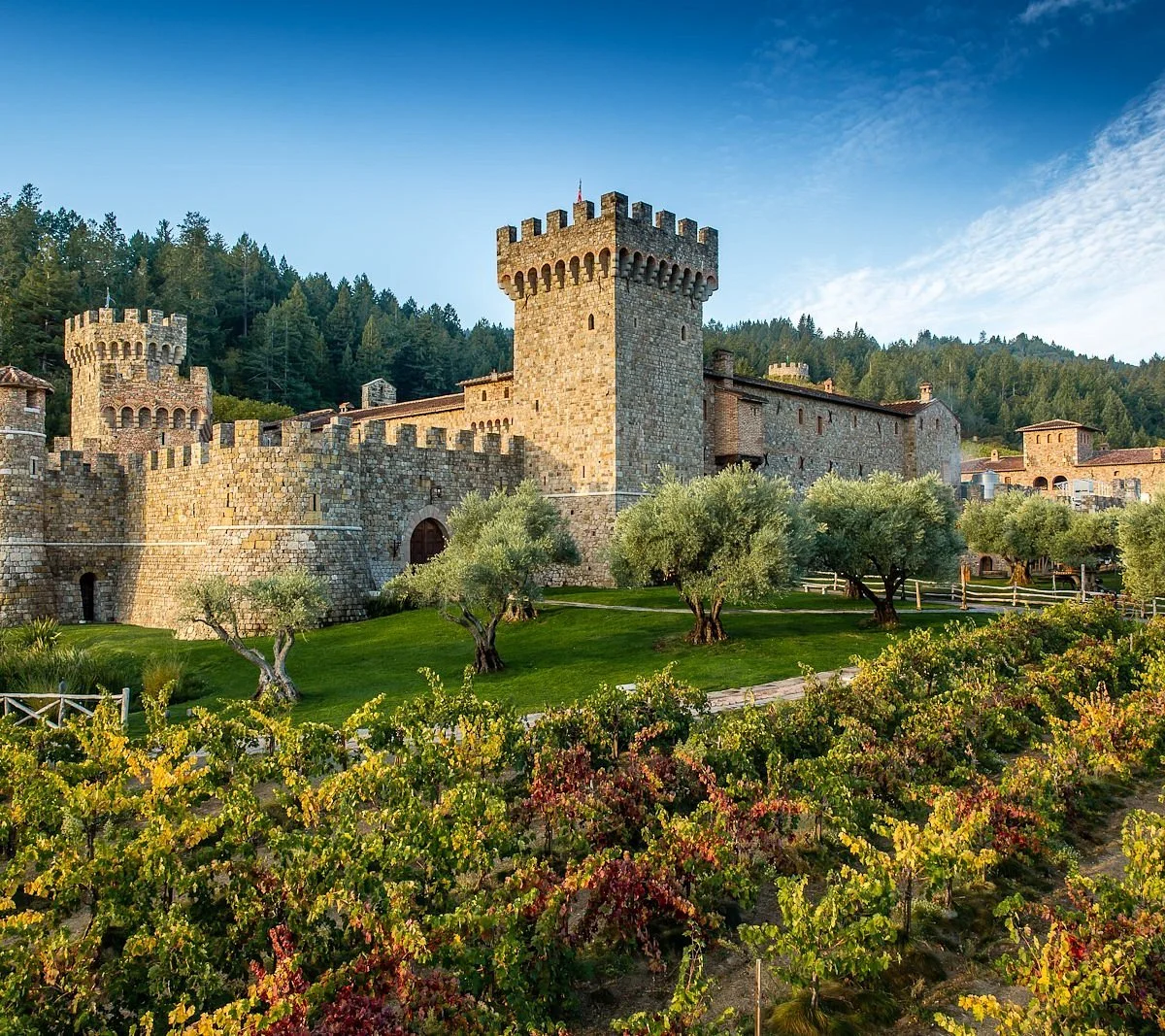 castello-di-amorosa-took.jpg