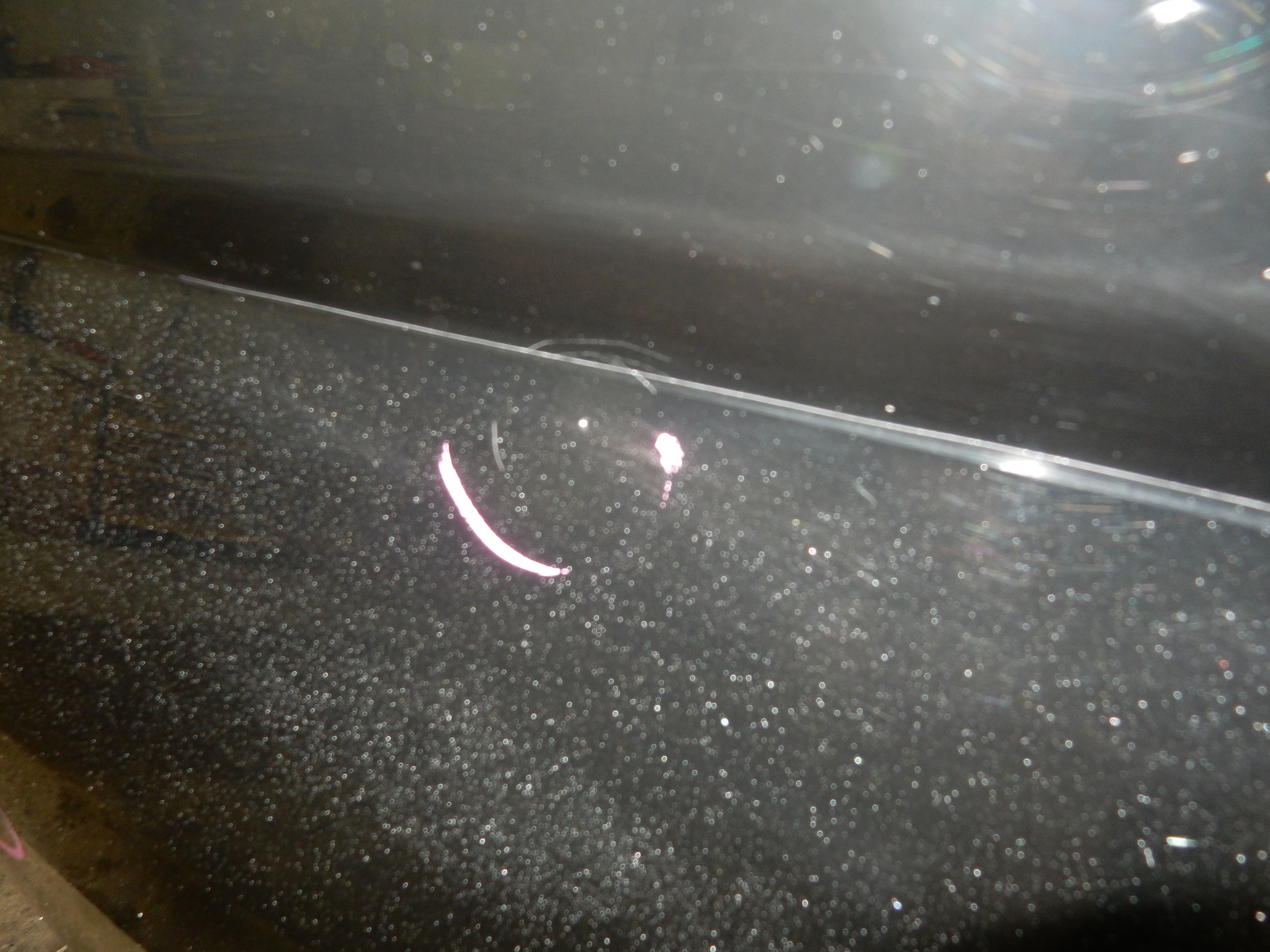 DSCN3491.JPG