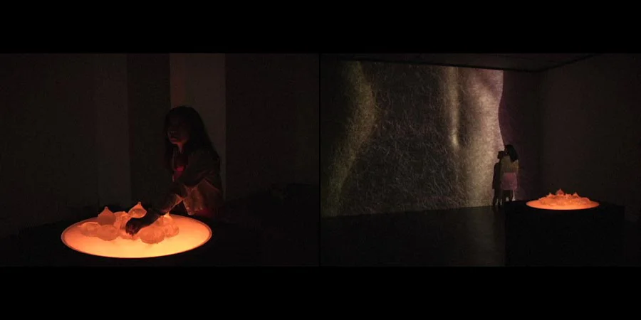 Viewers trigger the metamorphosis by touching the work