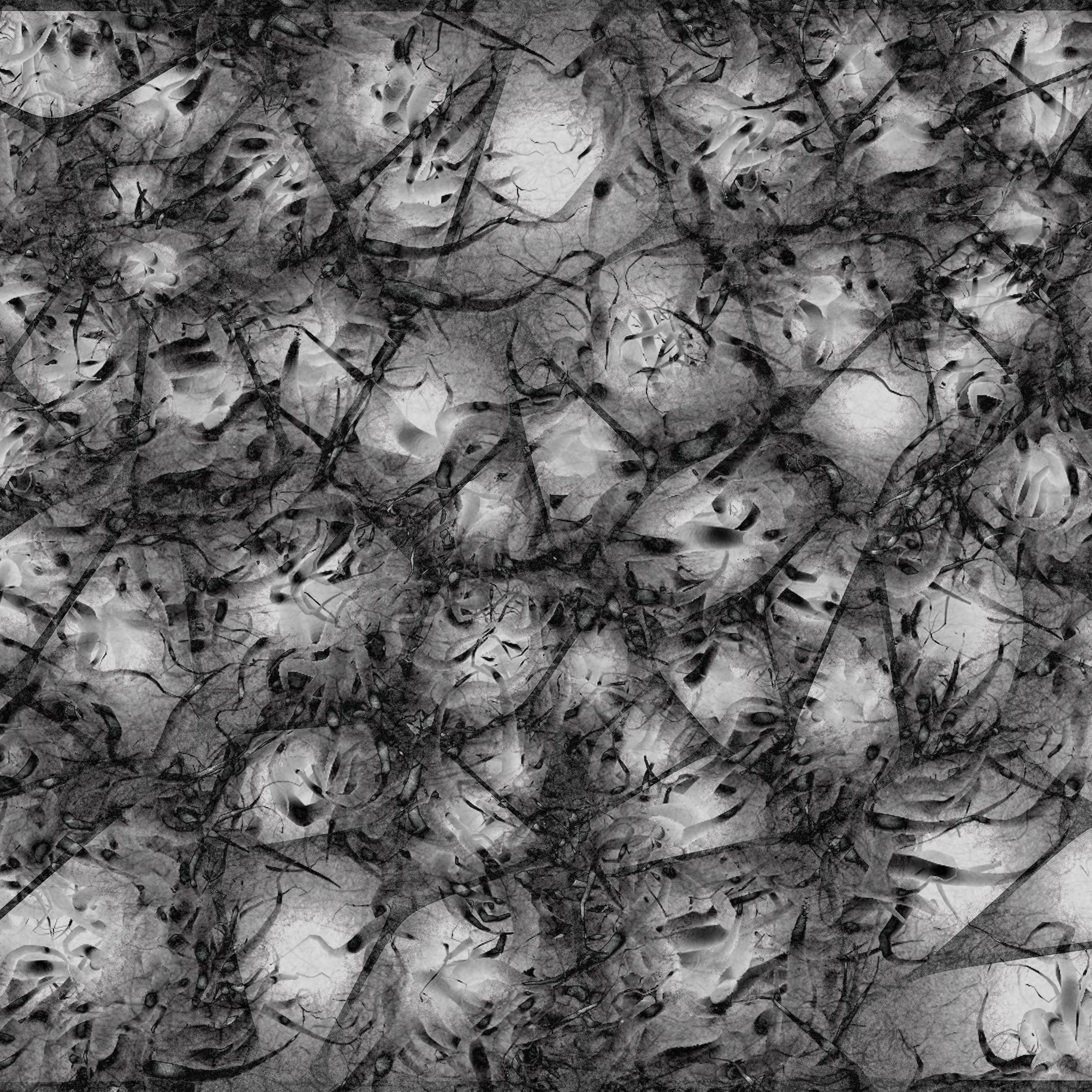 37b.jpg