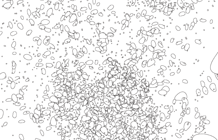 eggs_zoom2.gif