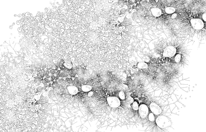 spores2.gif