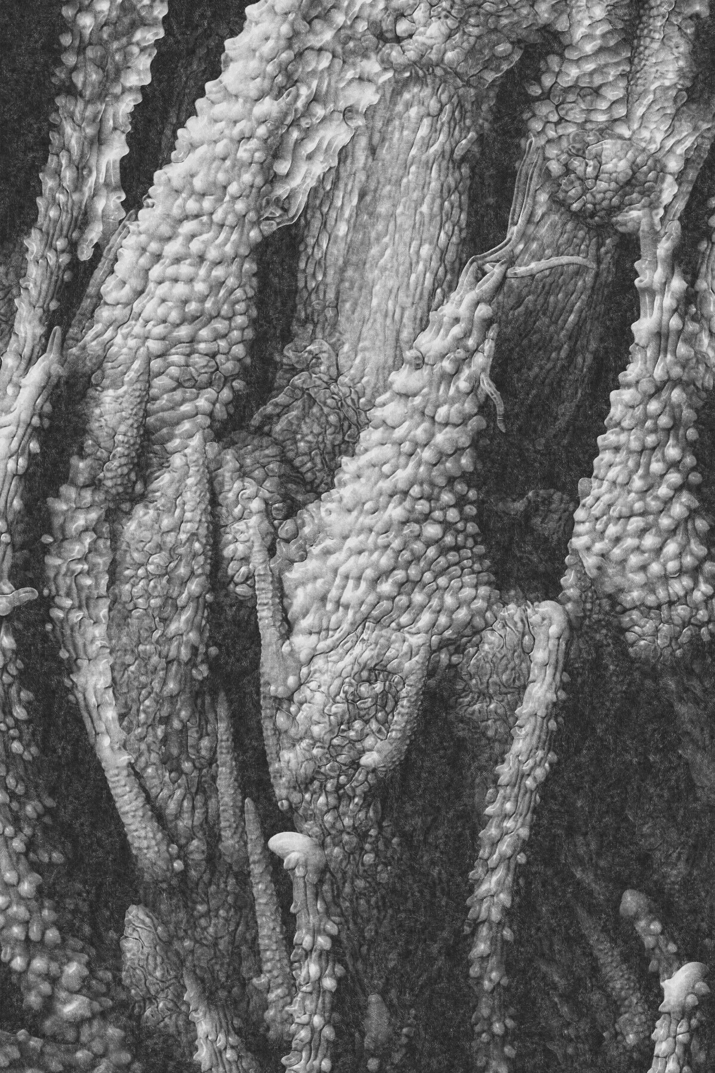 Epithelial Haze Giclée print 17 x 14 in (43.18 x 35.56 cm)